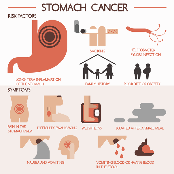 Stomach